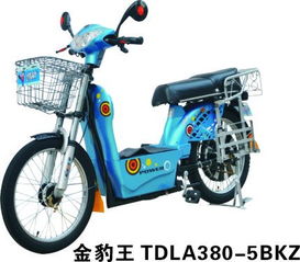 金豹王 TDLA380 5BKZ 一款融合科技與美學(xué)的電動(dòng)自行車全網(wǎng)展示